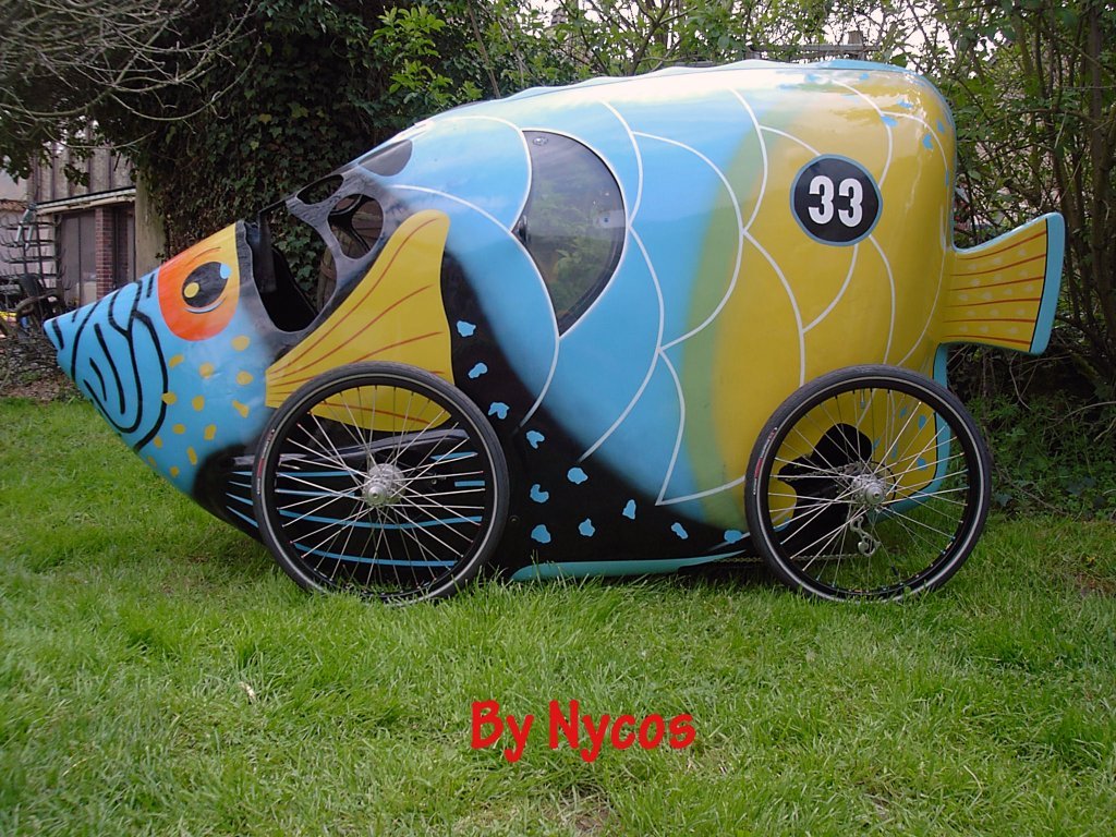Poisson 041.jpg